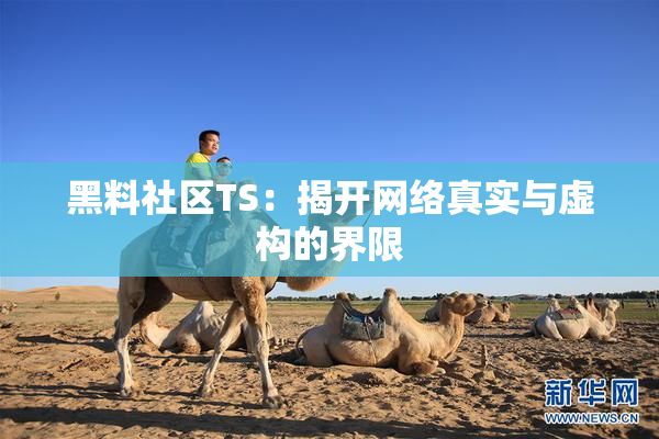 黑料社区TS：揭开网络真实与虚构的界限