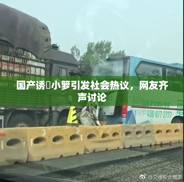 国产诱奷小箩引发社会热议，网友齐声讨论