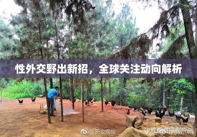 性外交野出新招，全球关注动向解析