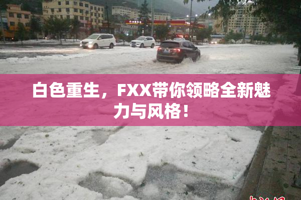 白色重生，FXX带你领略全新魅力与风格！