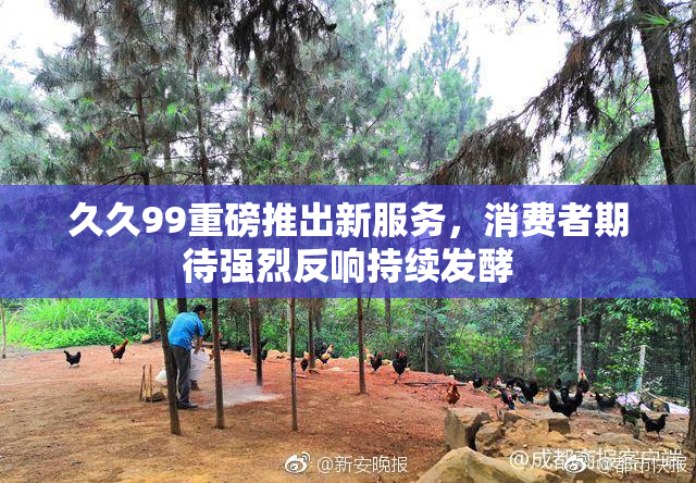 久久99重磅推出新服务，消费者期待强烈反响持续发酵