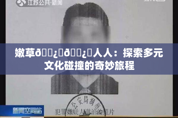 嫩草🌿‌🌿‌人人：探索多元文化碰撞的奇妙旅程