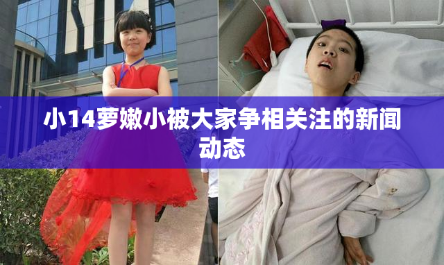 小14萝嫩小被大家争相关注的新闻动态