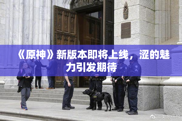 《原神》新版本即将上线，涩的魅力引发期待