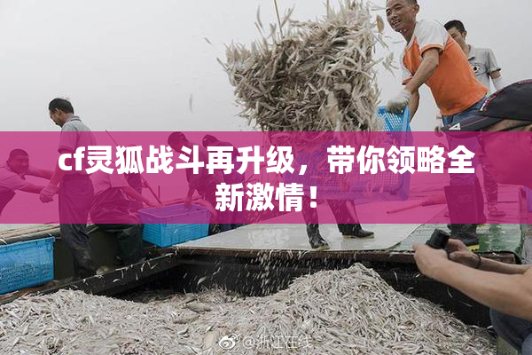 cf灵狐战斗再升级，带你领略全新激情！