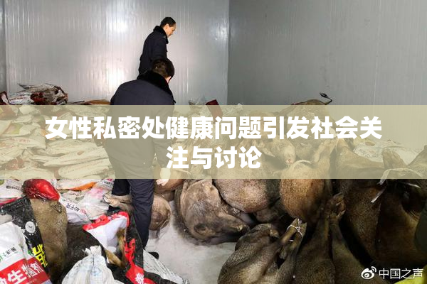 女性私密处健康问题引发社会关注与讨论