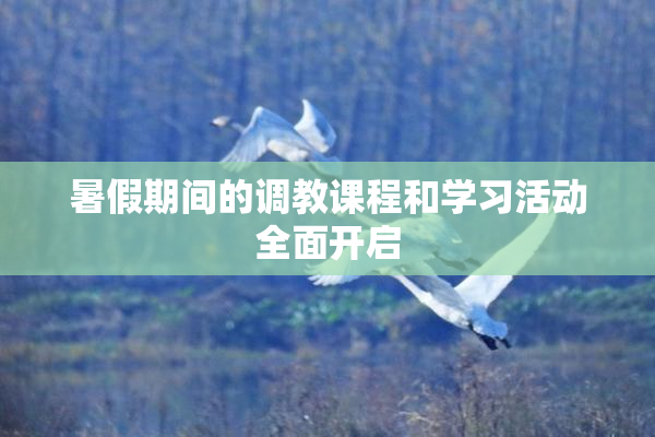 暑假期间的调教课程和学习活动全面开启