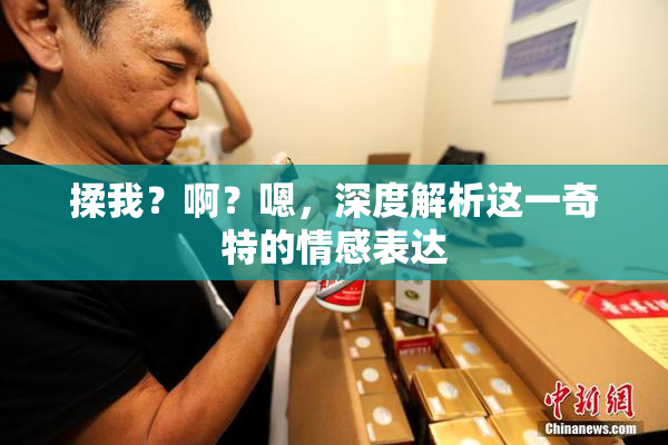 揉我？啊？嗯，深度解析这一奇特的情感表达