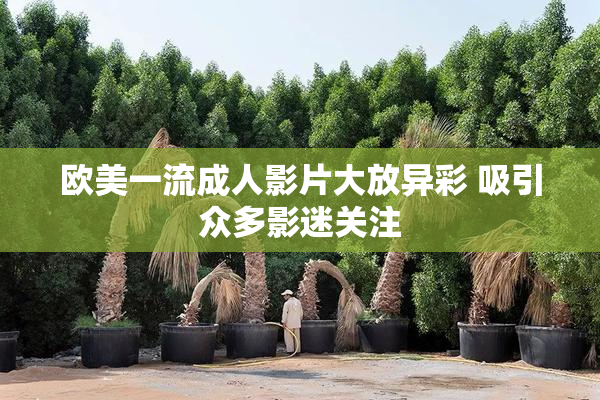 欧美一流成人影片大放异彩 吸引众多影迷关注