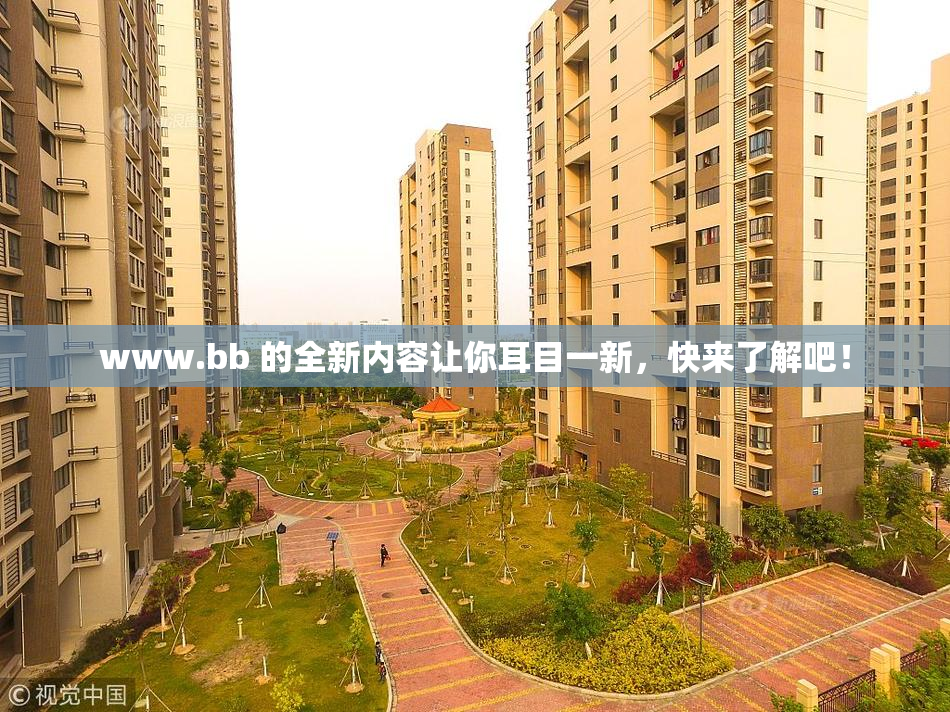 www.bb 的全新内容让你耳目一新，快来了解吧！