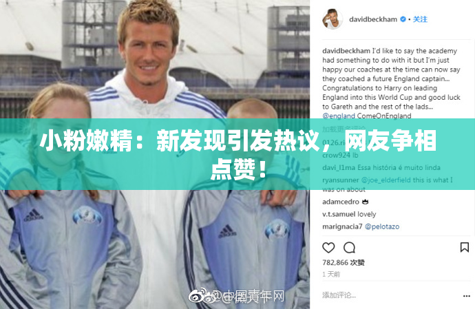 小粉嫩精：新发现引发热议，网友争相点赞！