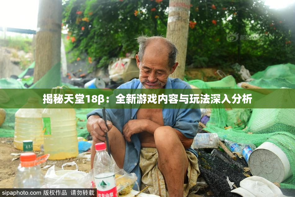 揭秘天堂18β：全新游戏内容与玩法深入分析