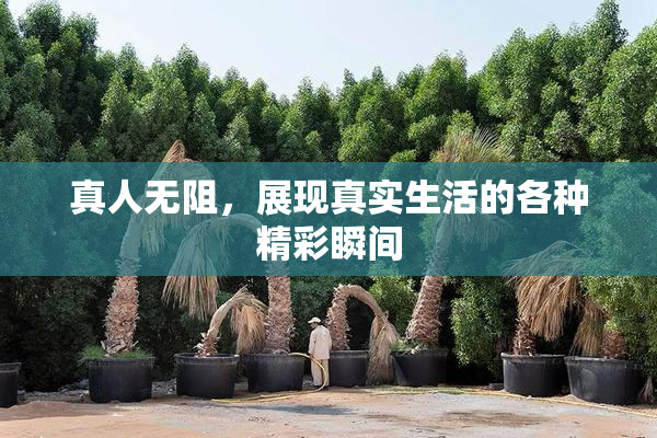 真人无阻，展现真实生活的各种精彩瞬间