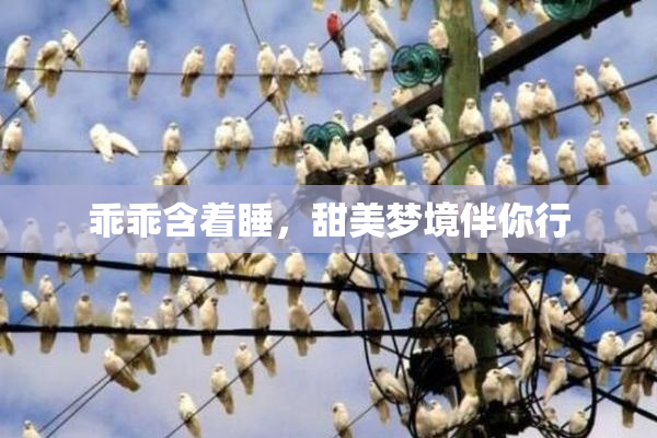 乖乖含着睡，甜美梦境伴你行