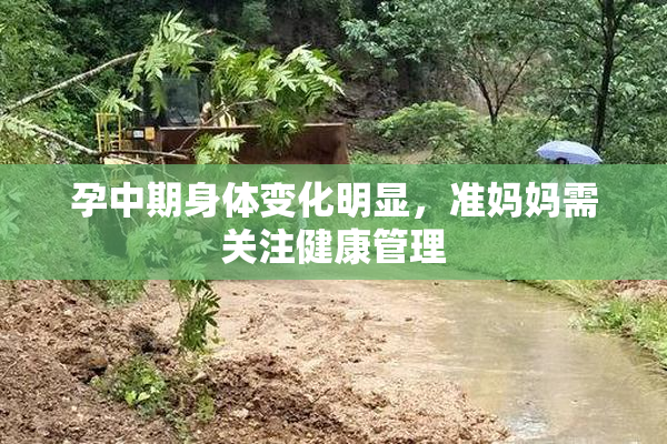孕中期身体变化明显，准妈妈需关注健康管理