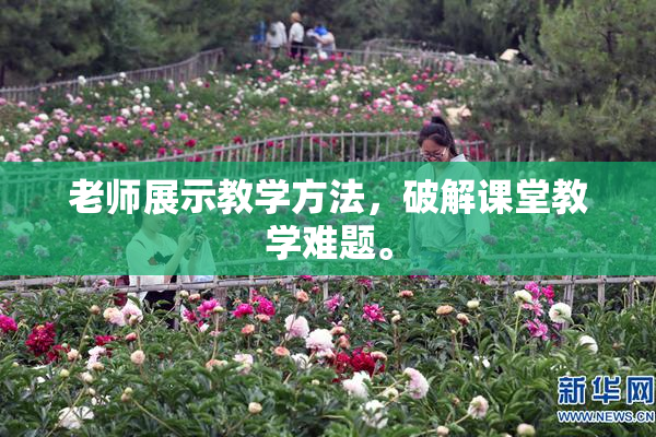 老师展示教学方法，破解课堂教学难题。