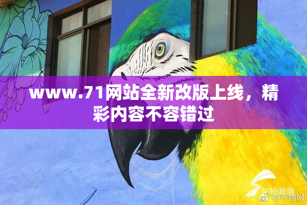 www.71网站全新改版上线，精彩内容不容错过