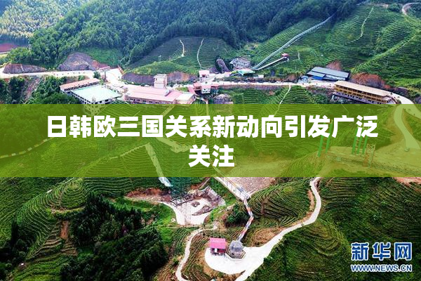 日韩欧三国关系新动向引发广泛关注