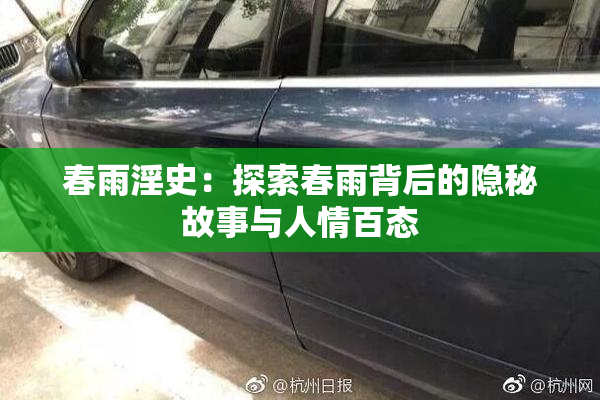 春雨淫史：探索春雨背后的隐秘故事与人情百态