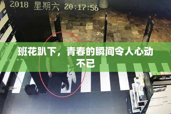 班花趴下，青春的瞬间令人心动不已