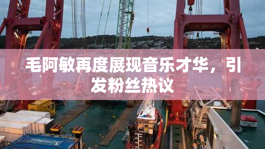 毛阿敏再度展现音乐才华，引发粉丝热议