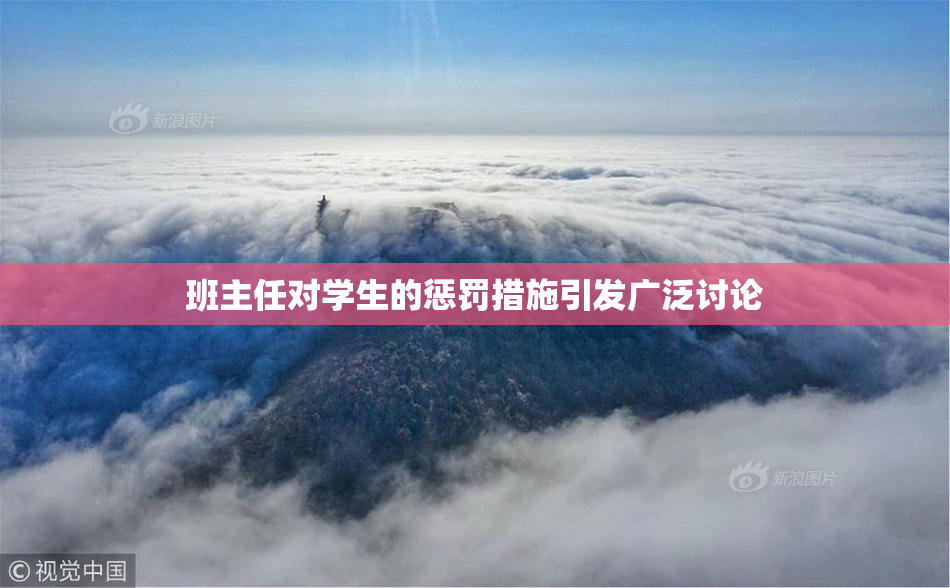 班主任对学生的惩罚措施引发广泛讨论