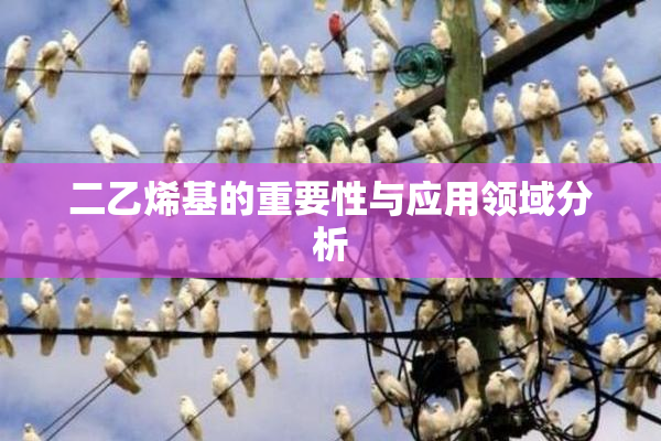 二乙烯基的重要性与应用领域分析