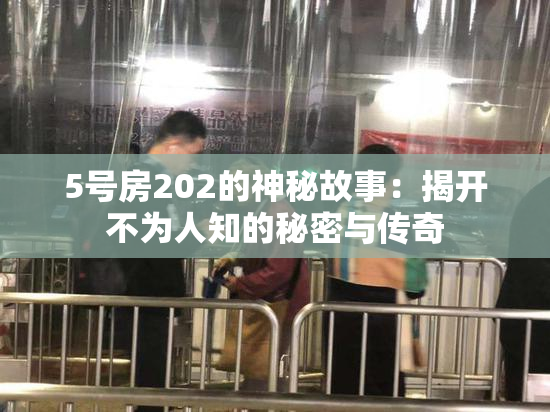 5号房202的神秘故事：揭开不为人知的秘密与传奇