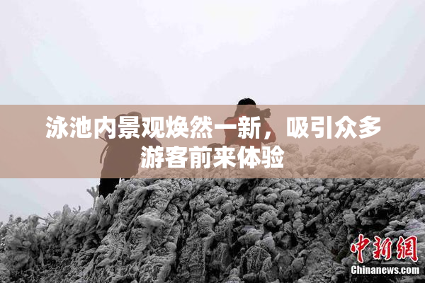 泳池内景观焕然一新，吸引众多游客前来体验