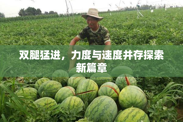 双腿猛进，力度与速度并存探索新篇章