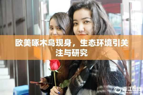 欧美啄木鸟现身，生态环境引关注与研究