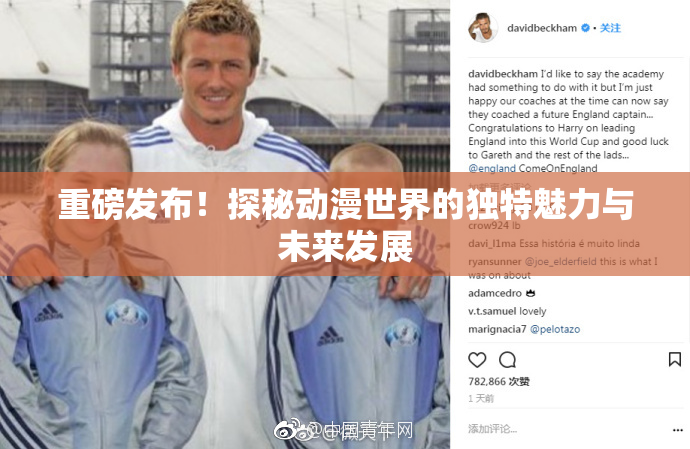 重磅发布！探秘动漫世界的独特魅力与未来发展