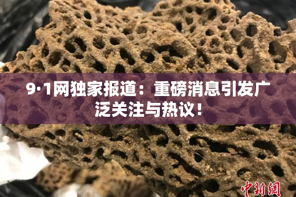 9·1网独家报道：重磅消息引发广泛关注与热议！