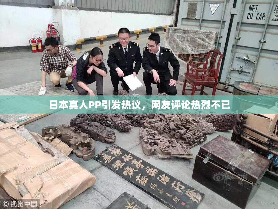 日本真人PP引发热议，网友评论热烈不已