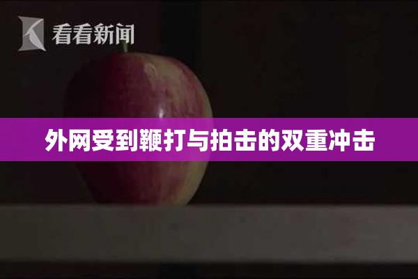 外网受到鞭打与拍击的双重冲击