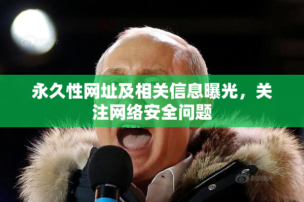 永久性网址及相关信息曝光，关注网络安全问题