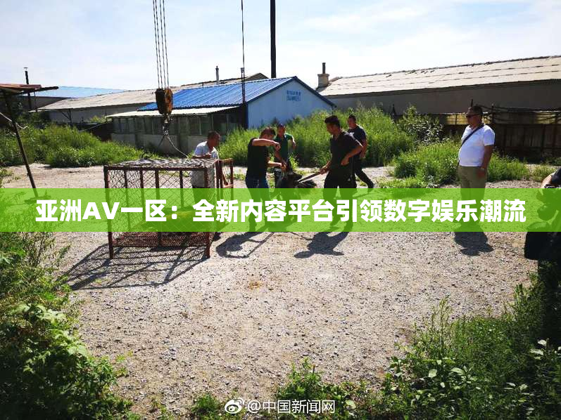 亚洲AV一区：全新内容平台引领数字娱乐潮流