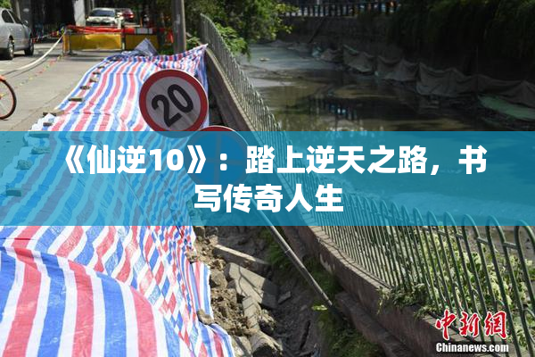 《仙逆10》：踏上逆天之路，书写传奇人生