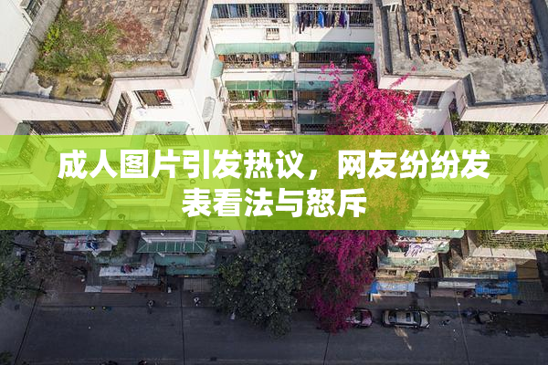 成人图片引发热议，网友纷纷发表看法与怒斥