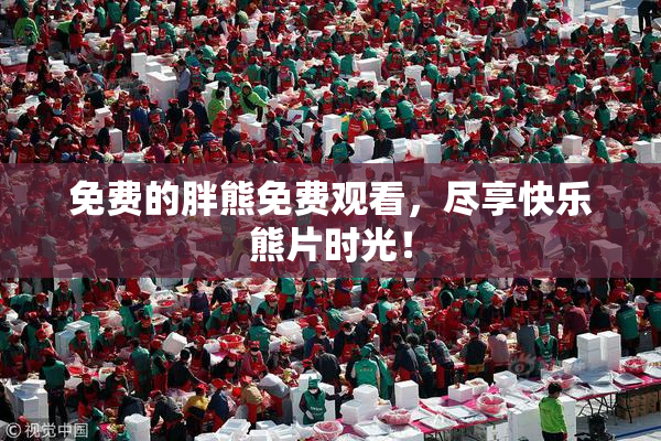 免费的胖熊免费观看，尽享快乐熊片时光！