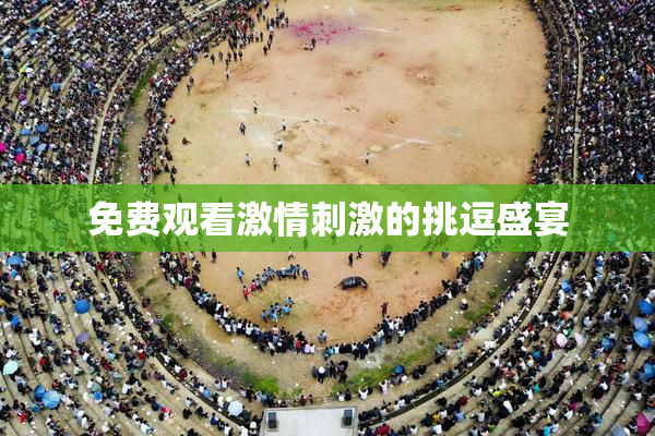 免费观看激情刺激的挑逗盛宴