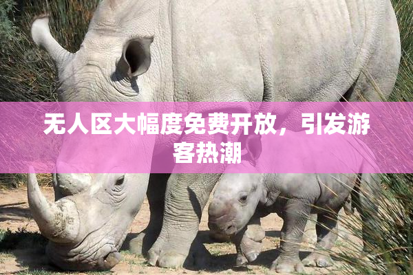 无人区大幅度免费开放，引发游客热潮
