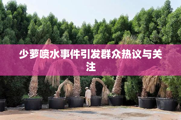 少萝喷水事件引发群众热议与关注