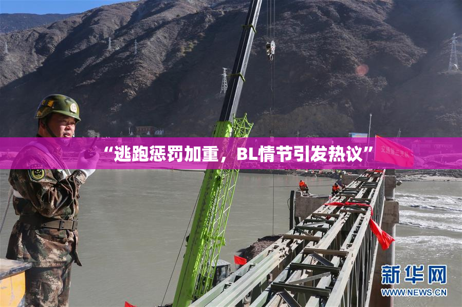 “逃跑惩罚加重，BL情节引发热议”