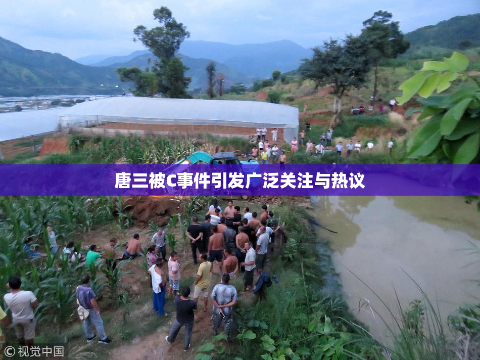 唐三被C事件引发广泛关注与热议