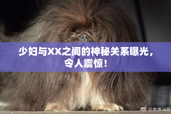 少妇与XX之间的神秘关系曝光，令人震惊！