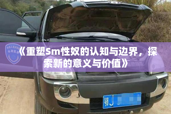 《重塑Sm性奴的认知与边界，探索新的意义与价值》