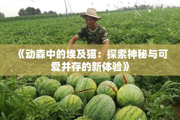 《动森中的埃及猫：探索神秘与可爱并存的新体验》