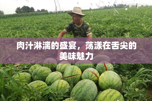 肉汁淋漓的盛宴，荡漾在舌尖的美味魅力