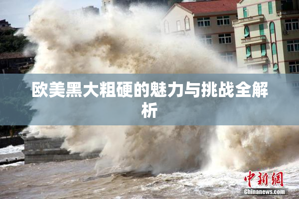 欧美黑大粗硬的魅力与挑战全解析